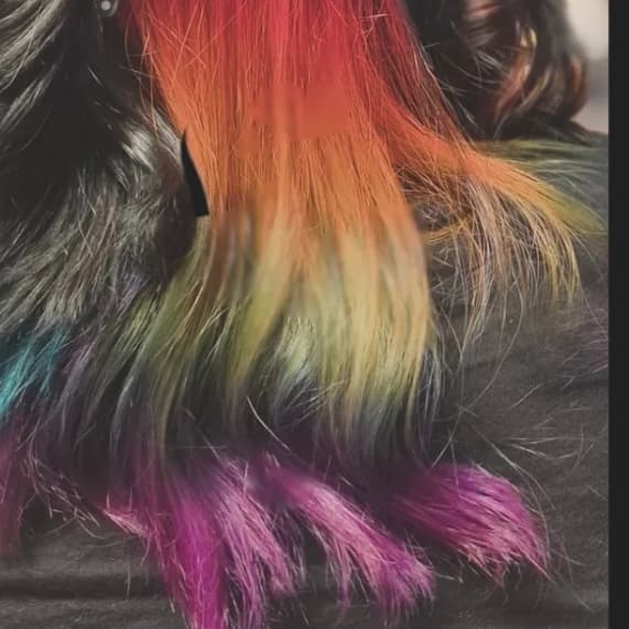 Rainbow Model 🌈 at Gortesque Beauty in Wyandotte, MI